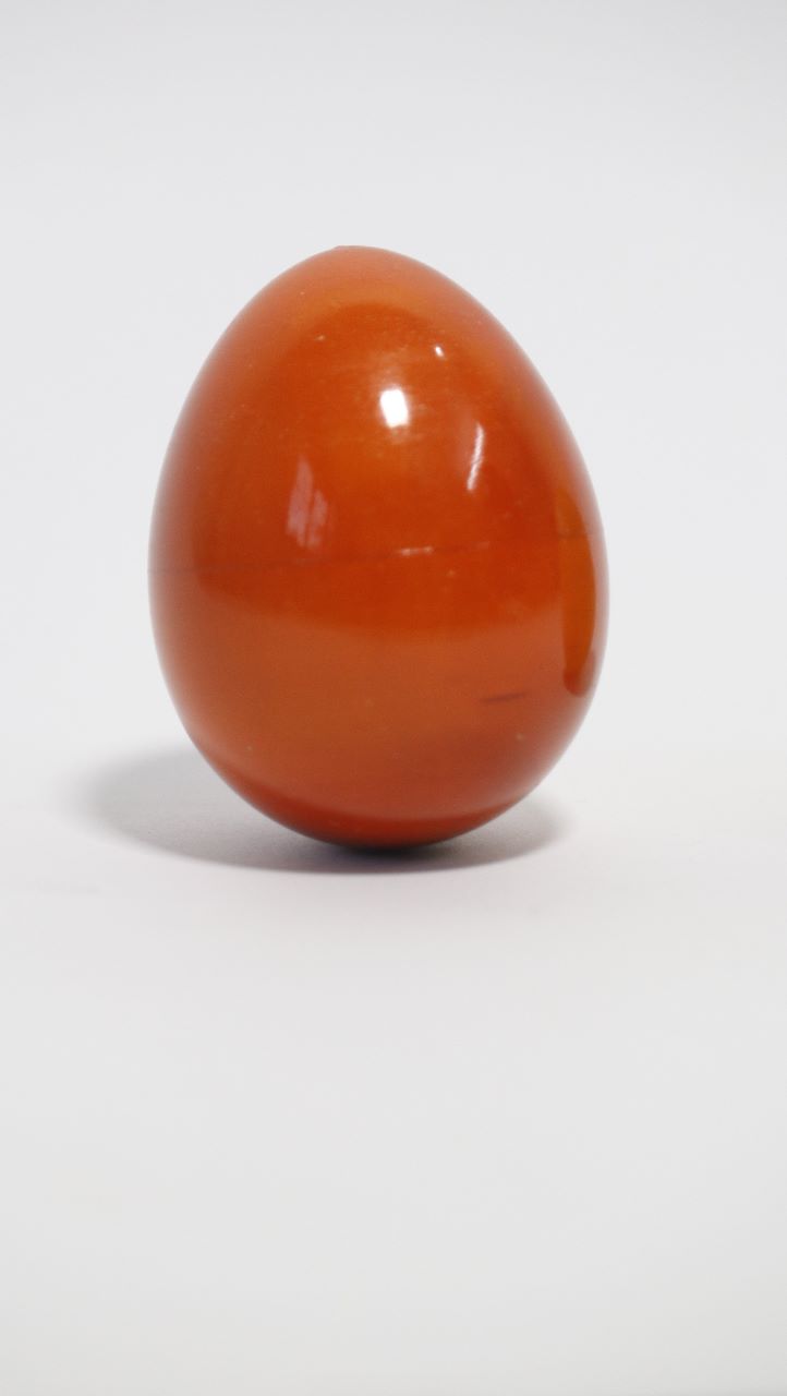Egg Shaker (Plastic) Big