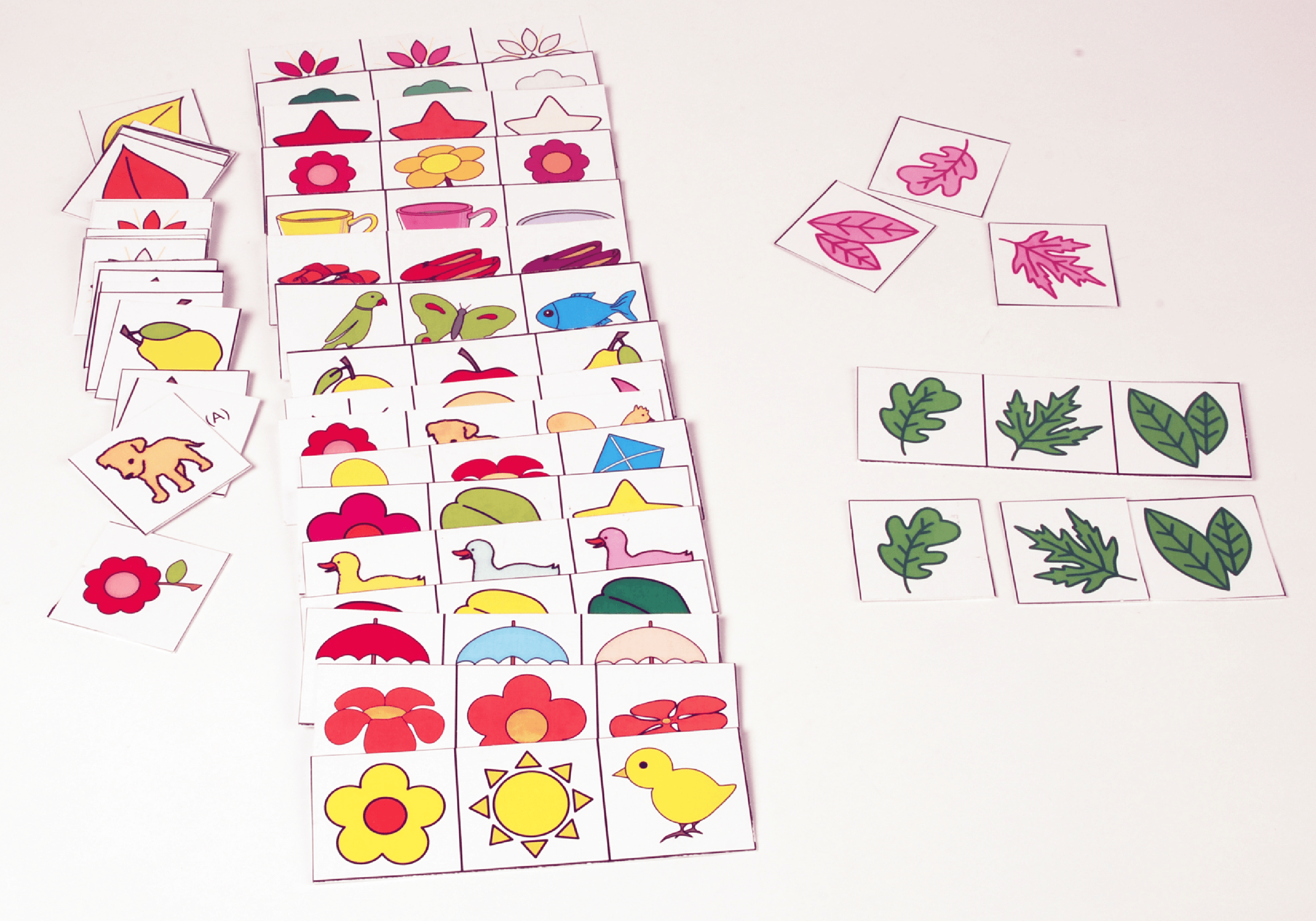 Remember Sequence - Cogni