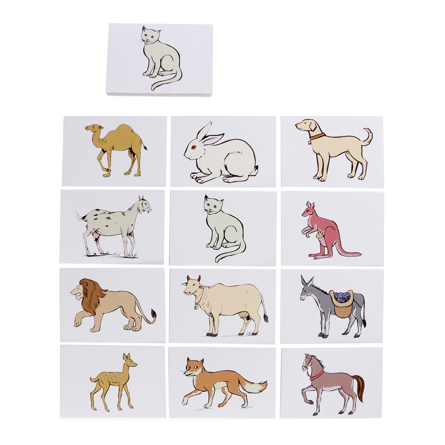 Animal Kingdom - Classification Game for Informative Learning and Skill Development  (Animal Sorting Activity)