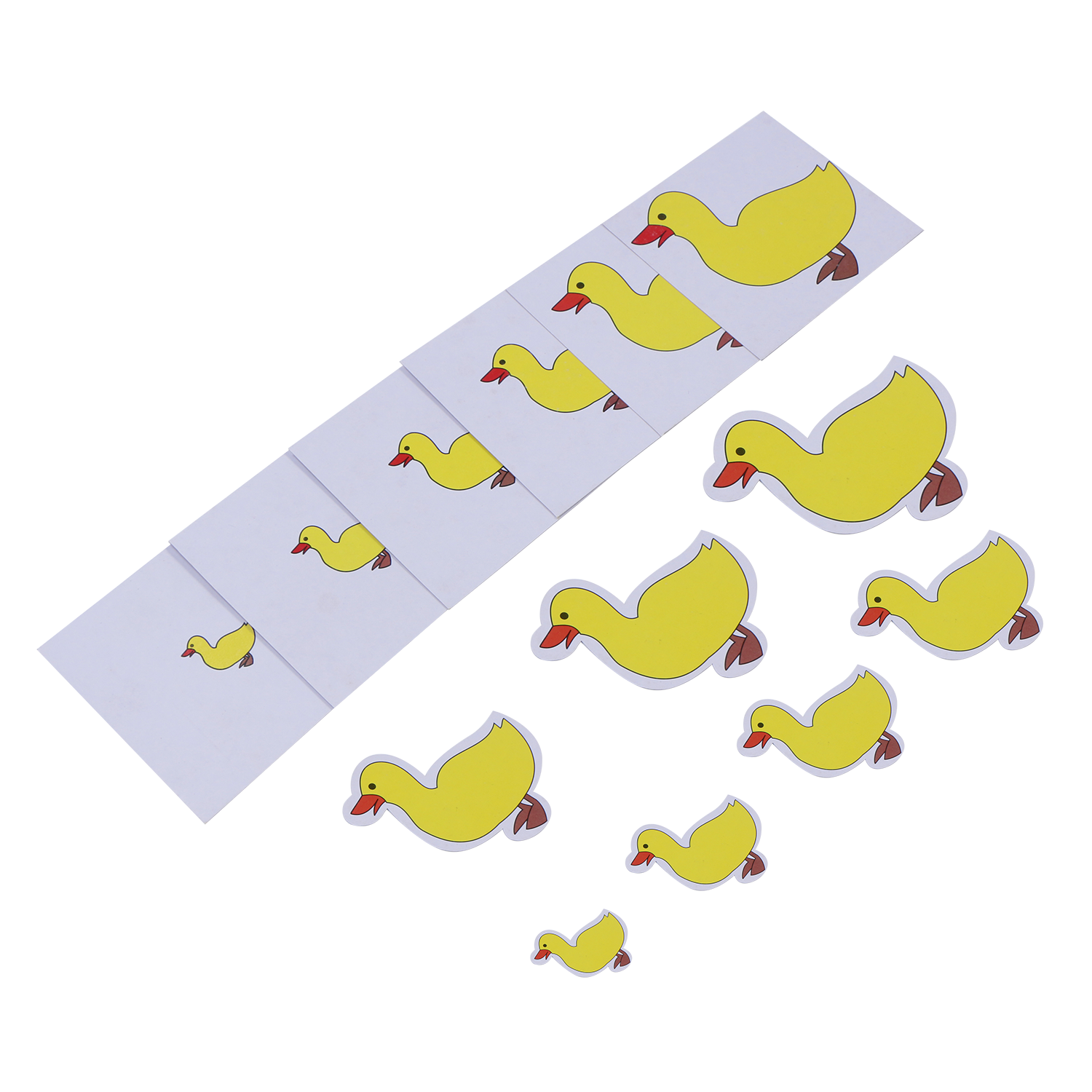 Ascending/ Descending Ducks - Creative Toy for Developing Skills and Imagination