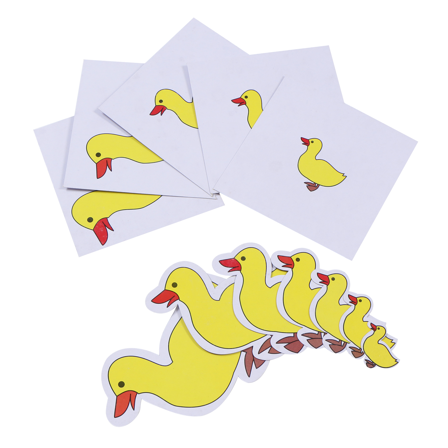 Ascending/ Descending Ducks - Creative Toy for Developing Skills and Imagination